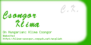 csongor klima business card